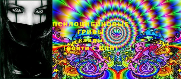 гашик Алзамай