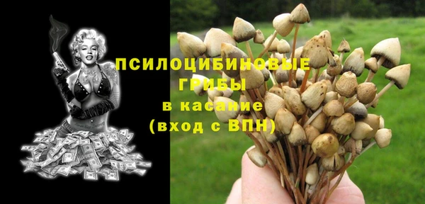 гидропоника Абдулино