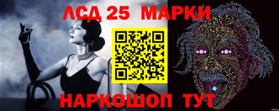 стафф Нальчик