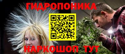 стафф Нальчик