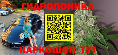 стафф Нальчик