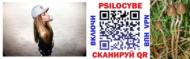 как найти наркотики  Отрадное  МЕГА зеркало  Псилоцибиновые грибы Magic Shrooms 