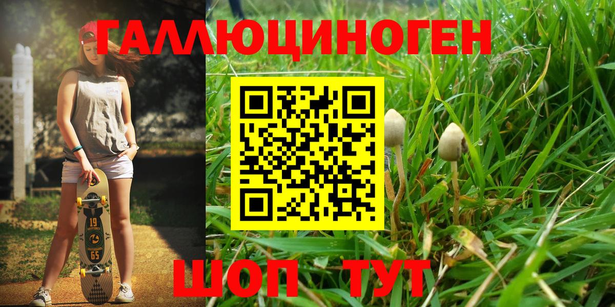 Псилоцибиновые грибы MAGIC MUSHROOMS Отрадное
