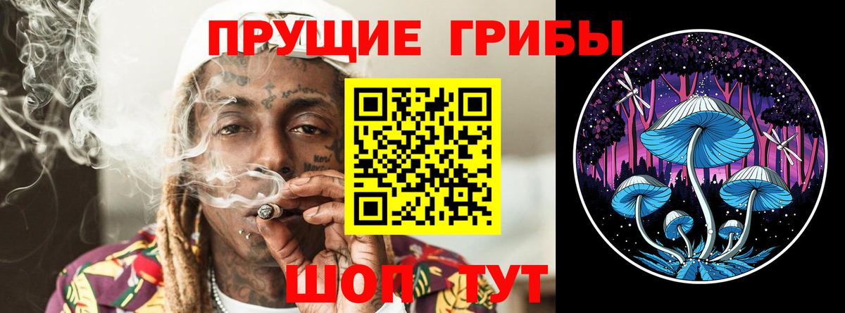 Псилоцибиновые грибы MAGIC MUSHROOMS  Вход с VPN  Отрадное 
